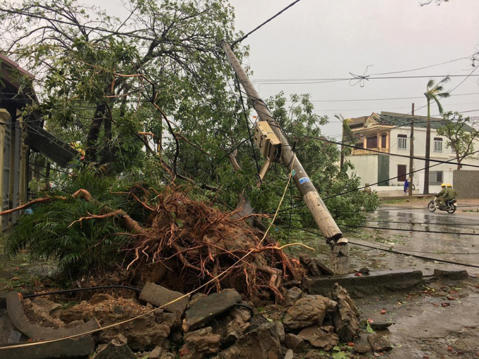 C&acirc;y cối, cột điện g&atilde;y đổ tứ tung.