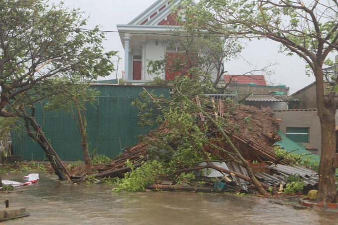 Rất nhiều c&acirc;y cối g&atilde;y đổ.