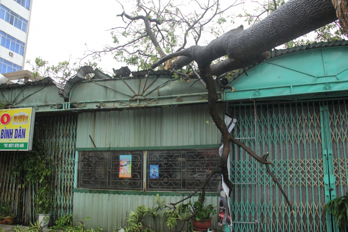 Nhiều c&acirc;y xanh ng&atilde; đ&egrave; v&agrave;o nh&agrave; người d&acirc;n.