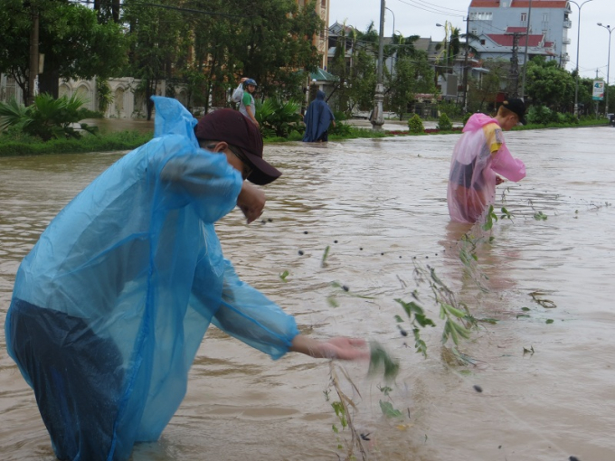 Đường phố Đồng Hới Ngập sau trong nước v&ocirc; t&igrave;nh trở th&agrave;nh 'ao' cho c&aacute;c bạn sinh vi&ecirc;n bắt c&aacute;.