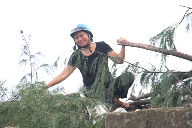 Vừa chặt c&acirc;y đổ đ&egrave; l&ecirc;n nh&agrave;, chị Ph&uacute; kh&oacute;c nức nở.