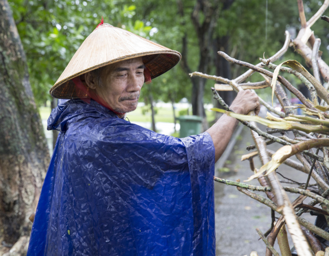 Huế: Th&agrave;nh Đại Nội vẫn nhộn nhịp trong mưa b&atilde;o