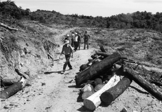 B&igrave;nh Định: Khởi tố vụ