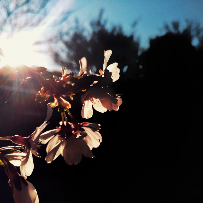 Nh&igrave;n ngắm khung cảnh đẹp như mơ dưới g&oacute;c m&aacute;y Bphone 2017