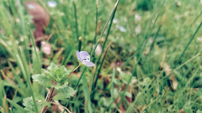 Nh&igrave;n ngắm khung cảnh đẹp như mơ dưới g&oacute;c m&aacute;y Bphone 2017