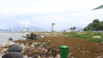 Xem xét thu hồi dự án lấn biển Nha Trang Sao