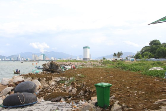 Nhếch nh&aacute;c dự &aacute;n lấp biển Nha Trang Sao