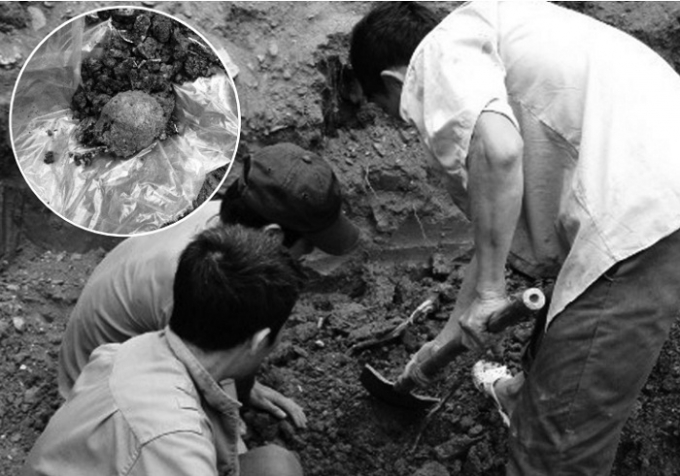 H&igrave;nh minh họa.