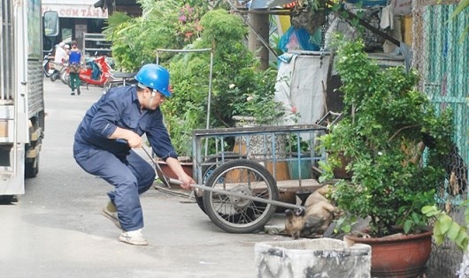 Xử phạt không đeo rõ mõm cho chó: Những phản hồi không… vô lý!