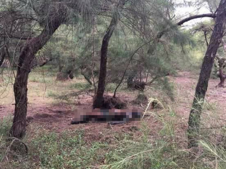 Hiện trường nơi xảy ra vụ việc.(Ảnh: DV)