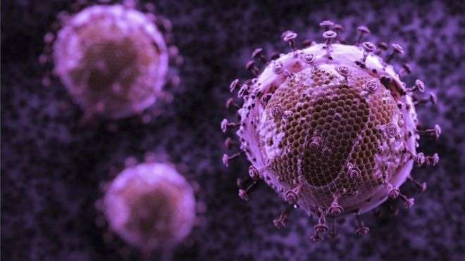 Bộ ba kh&aacute;ng thể mới c&oacute; thể ti&ecirc;u diệt 99% virus HIV ở khỉ. Ảnh:&nbsp;BBC.