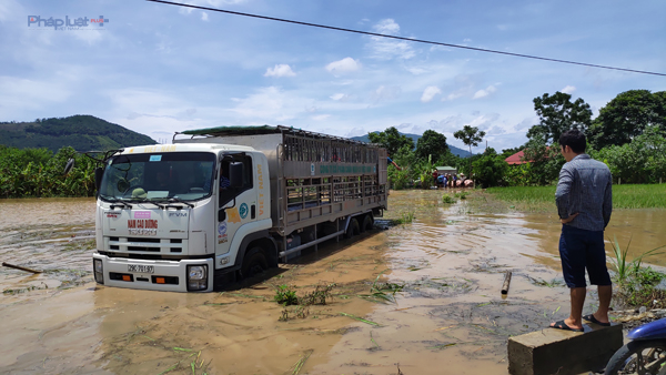 C&aacute;c phương phiện được huy động bằng mọi c&aacute;ch để ứng cứu t&agrave;i sản. (Ảnh: A.Thắng)