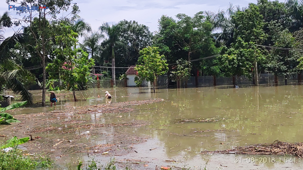 &nbsp;Theo thống k&ecirc;, đ&atilde; c&oacute; 11.791 căn nh&agrave; bị ngập ch&igrave;m trong nước lũ. (Ảnh: A.T)