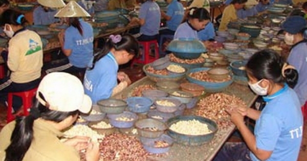 Người đẹp bán dâm có phải đi “phục hồi nhân phẩm“?