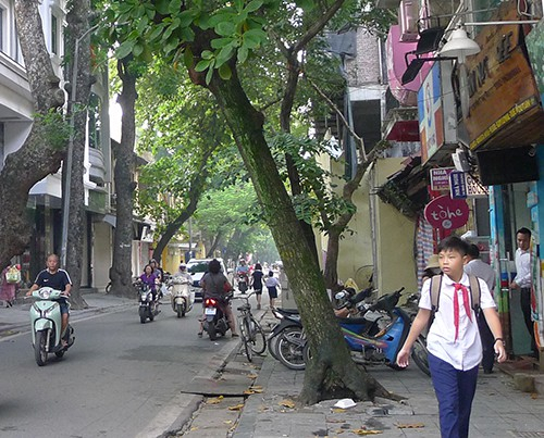 Trường Tiểu học Tr&agrave;ng An đ&oacute;ng cửa. Tr&ecirc;n đường c&oacute; một xe m&aacute;y chở học sinh đi ngược chiều tr&ecirc;n phố Nh&agrave; Thờ. Ngay tại ng&atilde; tư phố Nh&agrave; Chung - Nh&agrave; Thờ c&oacute; biển cấm đi ngược chiều v&agrave; c&oacute; tổ bảo vệ chốt trực nhưng t&igrave;nh trạng xe vi phạm vẫn diễn ra.