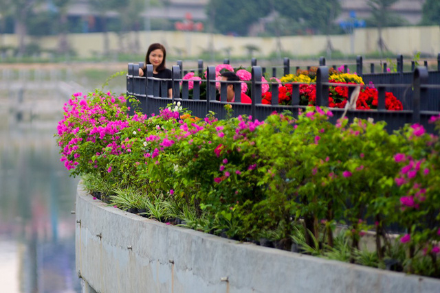 Xung quanh c&ocirc;ng vi&ecirc;n được trồng nhiều hoa.