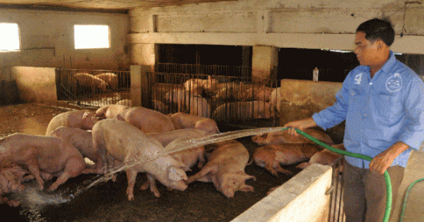 Chính sách tín dụng khuyến khích sản xuất nông nghiệp