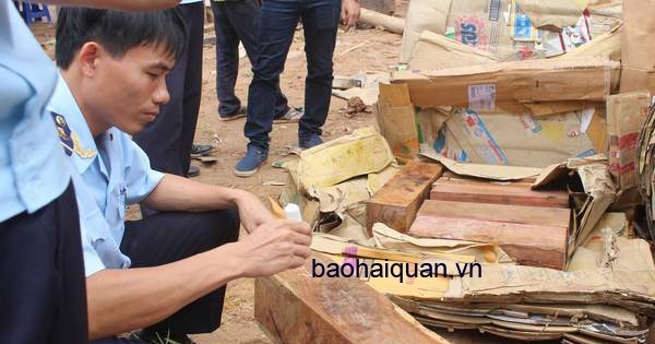 Ngụy trang gỗ lậu trong giấy phế liệu
