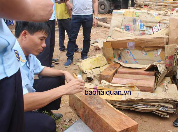 K&egrave;m ảnh lực lượng Hải quan chủ tr&igrave; phối hợp kh&aacute;m x&eacute;t tại hiện trường xe gỗ lậu ngụy trang trong giấy phế liệu ng&agrave;y.