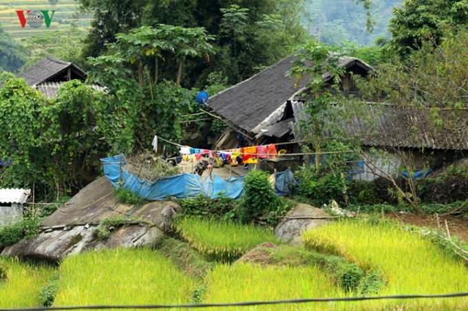 Dưới c&aacute;c thung n&uacute;i Ho&agrave;ng Li&ecirc;n Sơn thuộc địa b&agrave;n c&aacute;c huyện Than Uy&ecirc;n, Tam Đường, T&acirc;n Uy&ecirc;n, tỉnh Lai Ch&acirc;u l&agrave; nơi quần cư của c&aacute;c bản l&agrave;ng đồng b&agrave;o người M&ocirc;ng, Dao, Gi&aacute;y...
