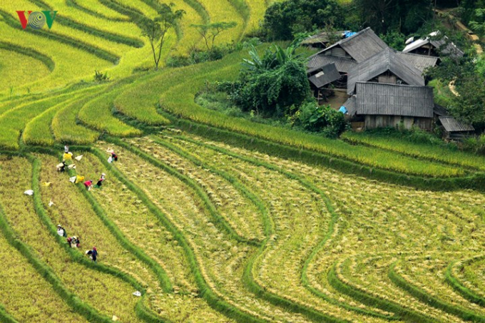 Do kh&oacute; khăn về địa h&igrave;nh, n&ecirc;n đa phần diện t&iacute;ch đất n&ocirc;ng nghiệp ở đ&acirc;y chi được b&agrave; con gieo cấy một vụ.