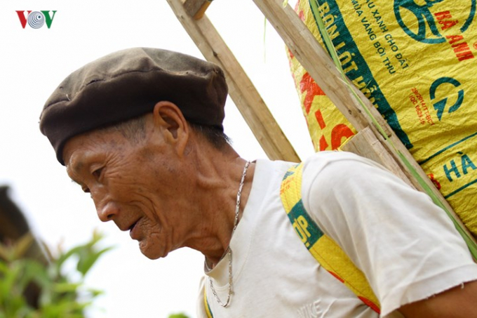 &nbsp;C&oacute; cả những người gi&agrave; tham gia thu hoạch cho kịp vụ