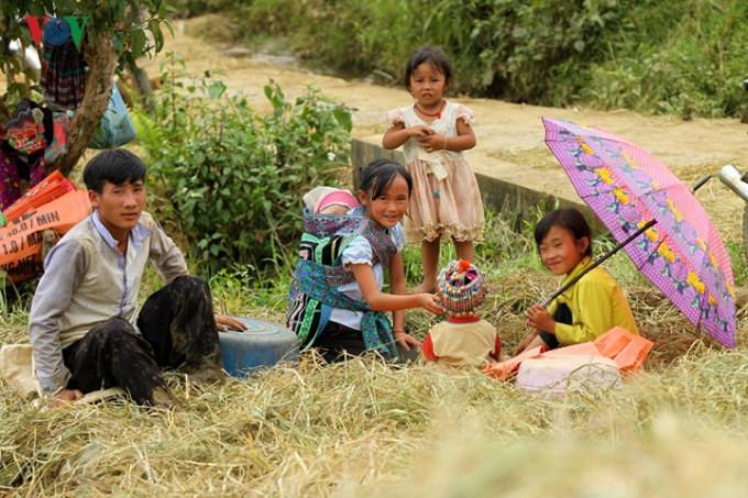 Trong khi người lớn tham gia thu hoạch th&igrave; c&aacute;c ch&aacute;u nhỏ gi&uacute;p bố mẹ tr&ocirc;ng giữ em.