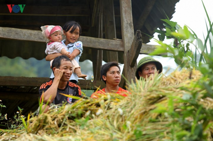 Rộn r&atilde; m&ugrave;a v&agrave;ng dưới thung lũng Ho&agrave;ng Li&ecirc;n Sơn