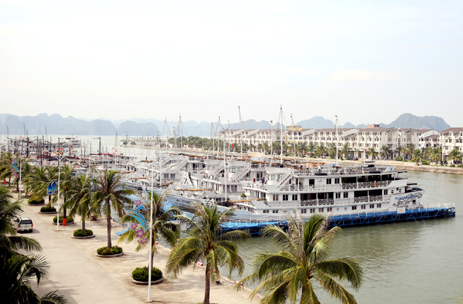 Tạm dừng cấp lệnh xuất bến c&aacute;c t&agrave;u, thuyền xuất bến chủ động ph&ograve;ng chống cơn b&atilde;o số 5.