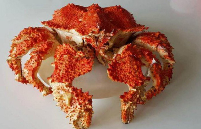 Cua &Uacute;c gi&aacute; cả v&agrave;i chục triệu đồng mỗi con.