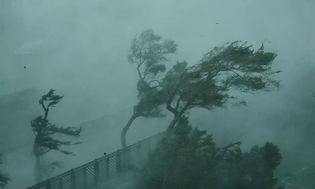 Gi&oacute; giật mạnh do b&atilde;o ở Hong Kong, ph&iacute;a nam Trung Quốc.