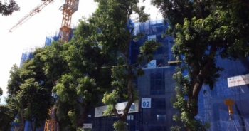 Nhiều sai phạm trong sử dụng đất tại Dự án Aqua Central 44 Yên Phụ