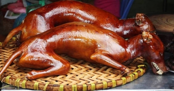 Bất cập việc giết mổ, mua bán ở chợ chó lớn nhất tại TP.HCM