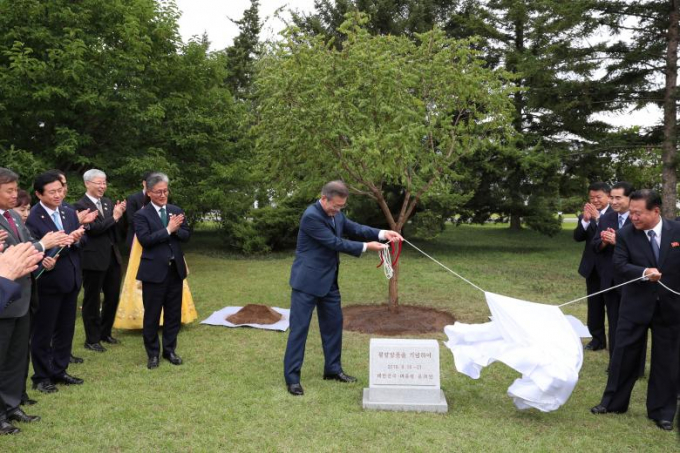 Tổng thống H&agrave;n Quốc tặng c&acirc;y kỷ niệm tại thủ đo B&igrave;nh Nhưỡng, Triều Ti&ecirc;n ng&agrave;y 19/9.