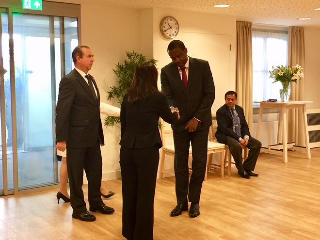 ĐSQ Việt Nam tại H&agrave; Lan mở sổ tang v&agrave; tổ chức viếng Chủ tịch nước Trần Đại Quang