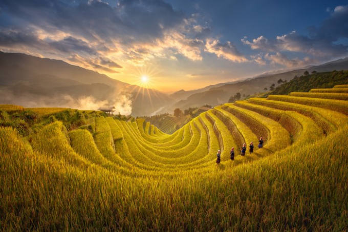 Ruộng bậc thang M&ugrave; Cang Chải (Y&ecirc;n B&aacute;i) m&ugrave;a l&uacute;a ch&iacute;n l&agrave;m ngất ng&acirc;y bao du kh&aacute;ch với vẻ đẹp h&ugrave;ng vĩ. Clip dưới đ&acirc;y sẽ gi&uacute;p bạn tận hưởng cảm gi&aacute;c ch&acirc;n thực nhất m&ugrave;a v&agrave;ng nơi đ&acirc;y.