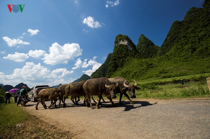 Khi mặt trời l&ecirc;n cao cũng l&agrave; l&uacute;c nhịp sống một ng&agrave;y mới ở Ngọc C&ocirc;n bắt đầu.