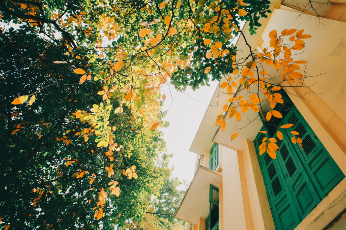 M&ugrave;a Thu l&agrave; m&ugrave;a rất đặc biệt của H&agrave; Nội