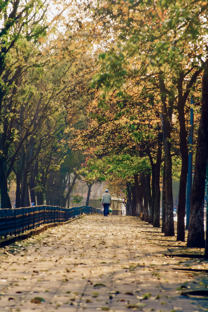 Một g&oacute;c phố b&igrave;nh dị...