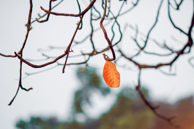 Khoảnh khắc thu H&agrave; Nội
