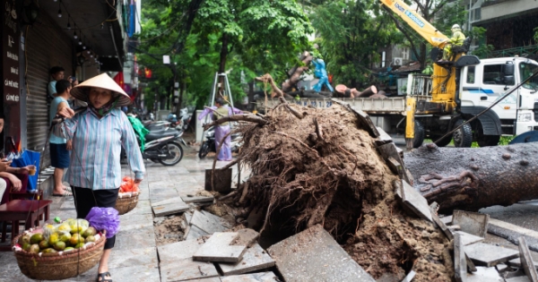 Hà Nội: Nhiều tuyến phố ngập úng, cây lớn đổ ngang đường