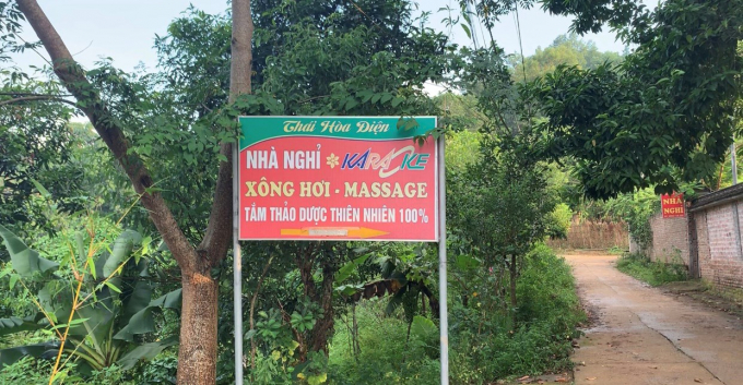thai hoa dien