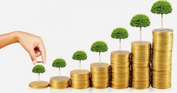 Trong tháng 8/2019, Cục Thuế Đắk Lắk thu ngân sách nhà nước đạt 390 tỷ đồng