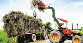 “Sóng ngầm” tại TTC Sugar