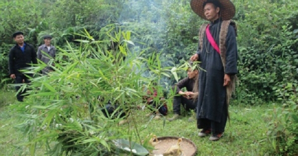 Nghi lễ “chống biến đổi khí hậu” giữa… rừng hoang