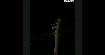 Thử 1 lần chơi lớn, người đàn ông treo lên cột điện "sờ dây" khiến mọi người trầm trồ