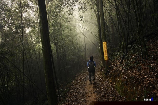 Khám phá chùa Địa Ngục (Tam Đảo) âm u bậc nhất miền Bắc