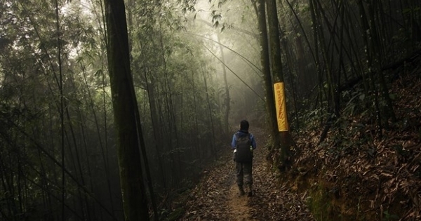 Khám phá chùa Địa Ngục (Tam Đảo) âm u bậc nhất miền Bắc