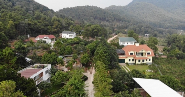 Sai phạm đất rừng Sóc Sơn: Sau kỷ luật cán bộ có xem xét trách nhiệm hình sự?