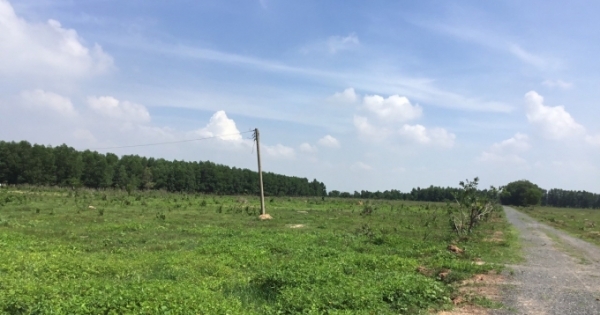 Ông lão 90 tuổi 20 năm "gánh" đơn đi tìm công lý: “Trống đánh xuôi kèn thổi ngược”